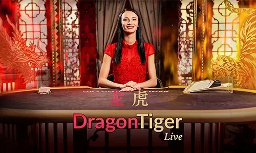Live Casino Partner